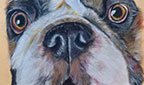 Pet Portrait artwork by student M Emmerson
